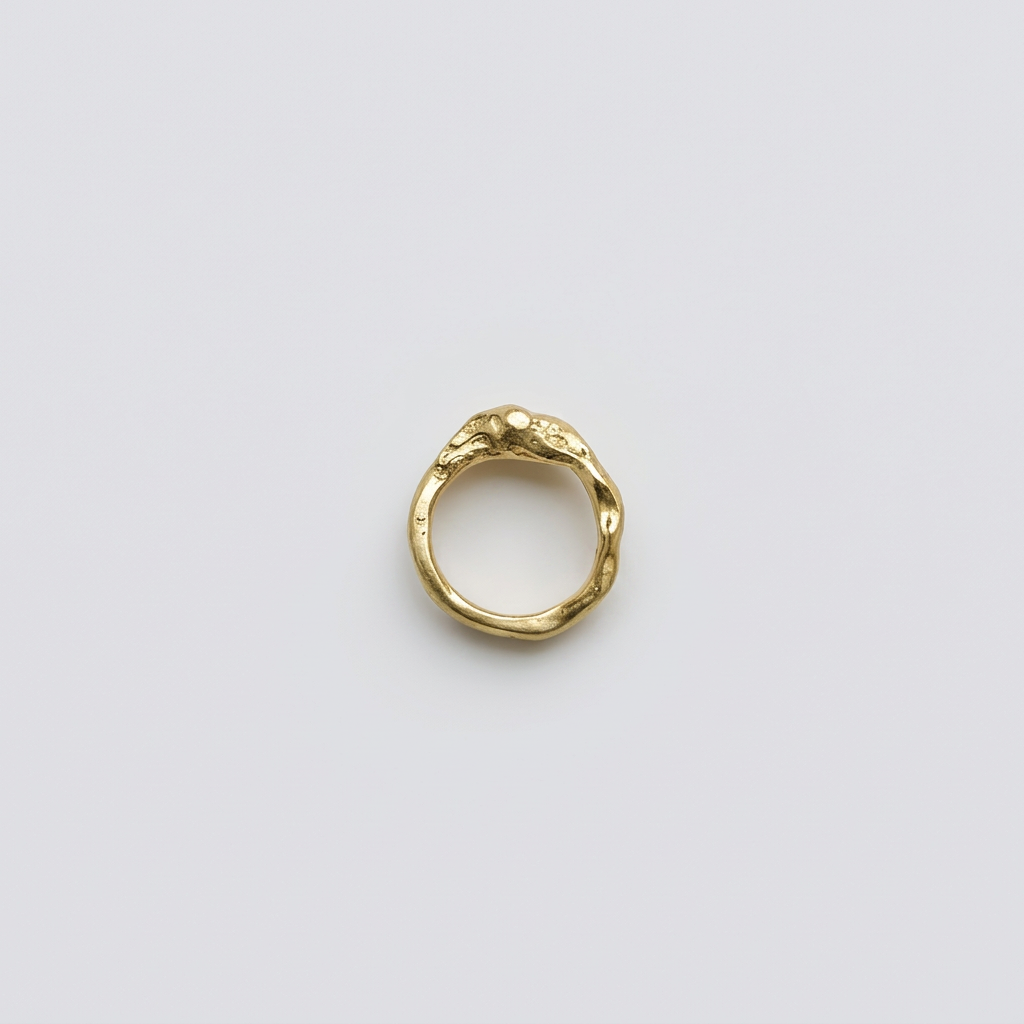 Terra ring in 18K gold vermeil — handmade jewelry by BARSHA STUDIO